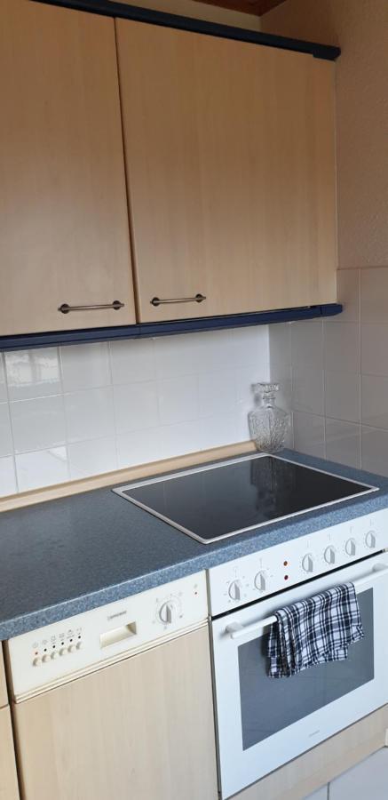 Ferienwohnung Stadtvilla 马格德堡 外观 照片